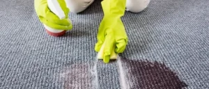 Geniale Tipps: Warum sollte Backpulver auf die Teppiche des Hauses gestreut werden? Der Trick, der alles verändert